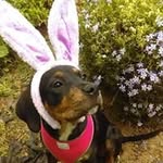 Deanne Baker - @deanne.baker - Instagram