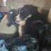 DeAnne Barber - Facebook