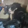 DeAnne Barber - @deanne.barber - TikTok