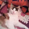 Deanna Barton - @deanna.barton - TikTok