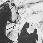 DeAnne Walk Bateman - @batemandeanne - Instagram