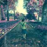 DeAnn Berger - @dphotogal - Instagram