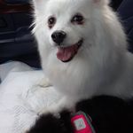 Deanna Berger - @deelberger - Instagram