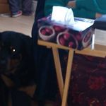 Deanne Bishop - @deanne.bishop.7 - Instagram