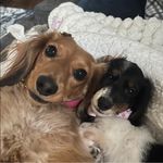 Deanne Bishop - @deanne.bishop - Instagram