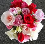 Deanne Bock - Facebook