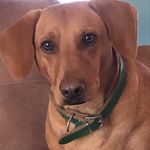 De’Anne Boyd Durham - @deanneboyddurham - Instagram
