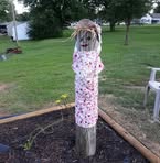 Deanne Davis Eifert - Facebook