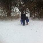 Deanna Gardner - @deanna.gardner.9275 - Instagram