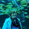 deannehill - @deannehill - TikTok