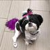 DeAnne Jones - Facebook