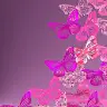 Deanne Jones - @deannejones4 - TikTok