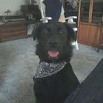Deanne Montgomery - @deeniebrat23 - Instagram