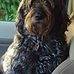 Deanne Olson - Facebook