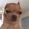 Deanne - @randyx100k - TikTok