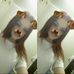 Deanne Walsh - Facebook