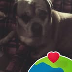 Deanne Young - Facebook
