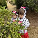 Deanne Young - Facebook