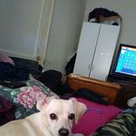 Deante Bailey - @deante.bailey.71 - Instagram