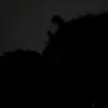 Deante Jackson - @deante.jackson - TikTok