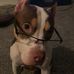 Deionte Proctor - Facebook