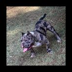 De'Anthony Smith - Facebook