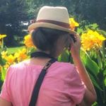 Deb Adams - @thedullfig - Instagram