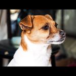 Deb Adams - @debadams59 - Instagram
