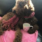 Debra Adams - @deb__adams__ - Instagram