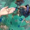 Debbie Heck Albrecht - @debbie.heck.albre - TikTok