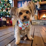 Terry Deb Albrecht - @terrydeb_albrecht - Instagram