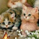 Deb Allen - @allen.deb - Instagram