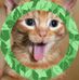 Debbie Arbogast - Facebook