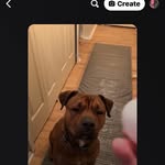 Debbie Arbogast - @arbogast_debbie - Instagram