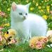 Debbie Arbogast - Facebook