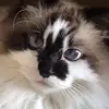 Deborah Arbogast - @deboraharbogast0 - TikTok