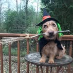 Deb Austen Bain - @deb.a.bain - Instagram