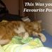 Deb Bain - Facebook