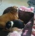 Deb Barker - Facebook