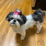 Deb Barker - @deb.barker2 - Instagram