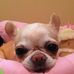 Deb Bauer - Facebook