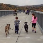 Deb Bauer - @dlbauer10 - Instagram