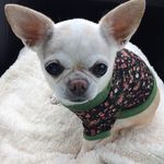 Deb Bauer - @bauer5694 - Instagram