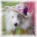 Deb Bauer - @debbauer6 - Instagram