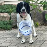 Deb Baumann - @deb_baumann76 - Instagram