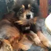 debrabauman - @debrabauman - TikTok