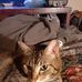 Deborah Bear - Facebook