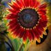 Deb Bennett - Facebook