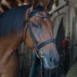 Deb Bennett - Rowbottom - @debrowbottom - Instagram