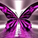 Deb Berry - @berrydeb - Instagram